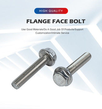 GB5789 Χάλυβα από ανοξείδωτο χάλυβα Hex Flanges Head Screw M5 M6 M8 M10 M12 Plain Finish 304 GB5789