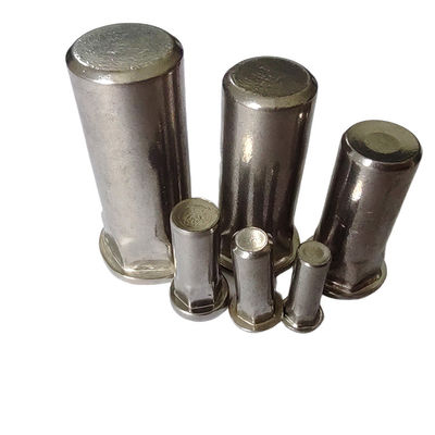 Ιαπωνική αγορά DIN Standard Flat Head Semi-Hex Closed End Threaded Rivet Nut για οικιακές συσκευές