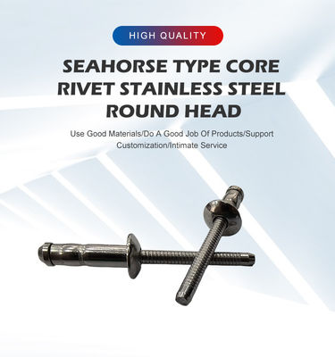 Χάλυβα από ανοξείδωτο χάλυβα Πολλαπλό τύμπανο διπλό νήμα στρογγυλή κεφαλή νίτσες ένα σταθμό εξατομικευμένη εξυπηρέτηση