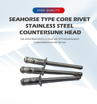 Επιθεώρηση εύρους Ατσάλινο Countersunk Head Pop Rivet Blind Rivet με προσαρμογή
